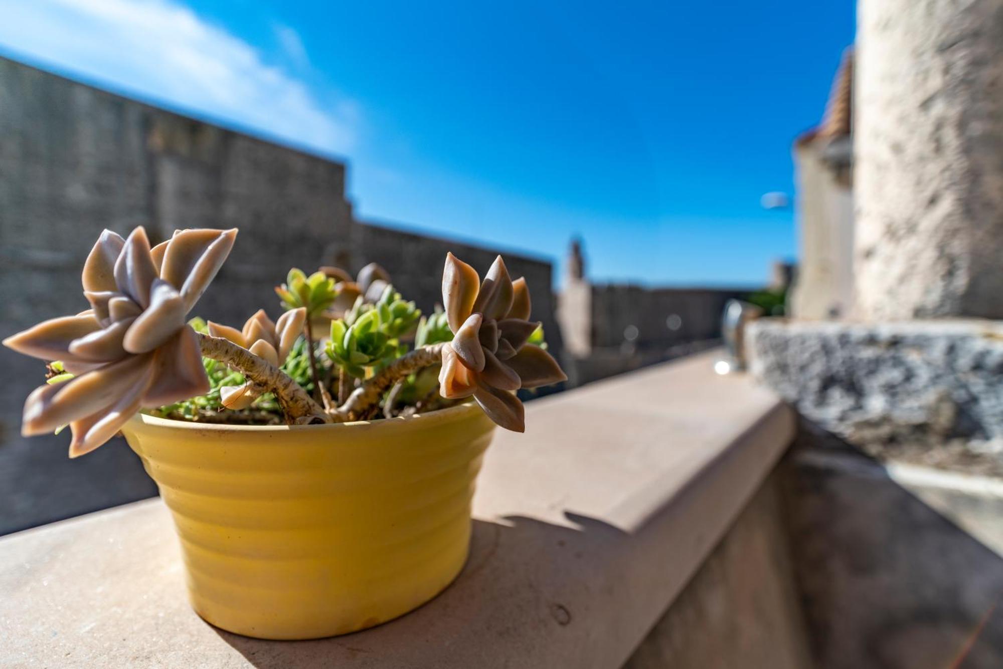 Vecchia Apartment Dubrovnik